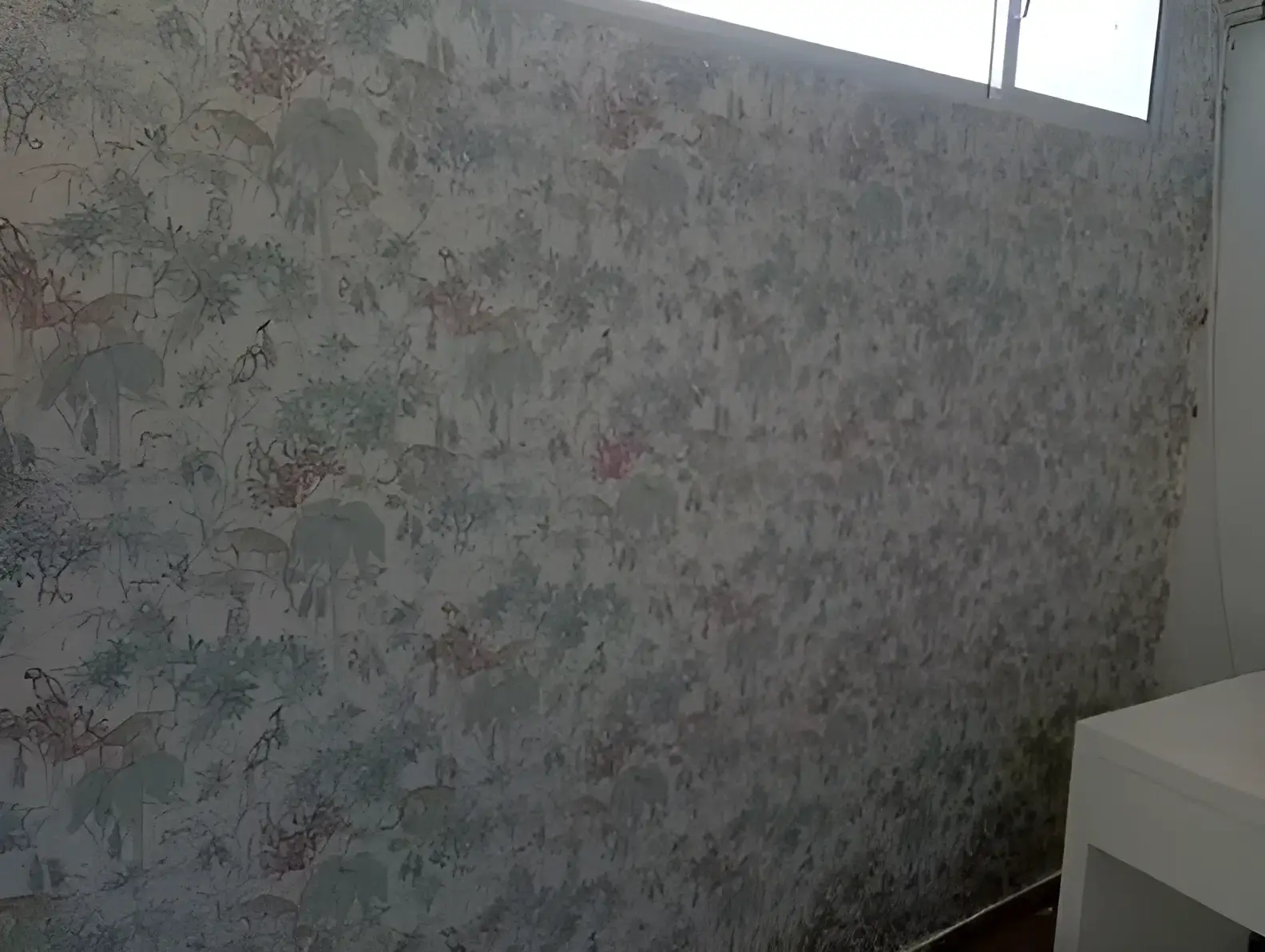 Los Pintores Tarragona colocando papel pintado decorativo en pared completa de habitación